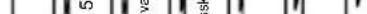 GORENJE GU63350W - Programtest - 42