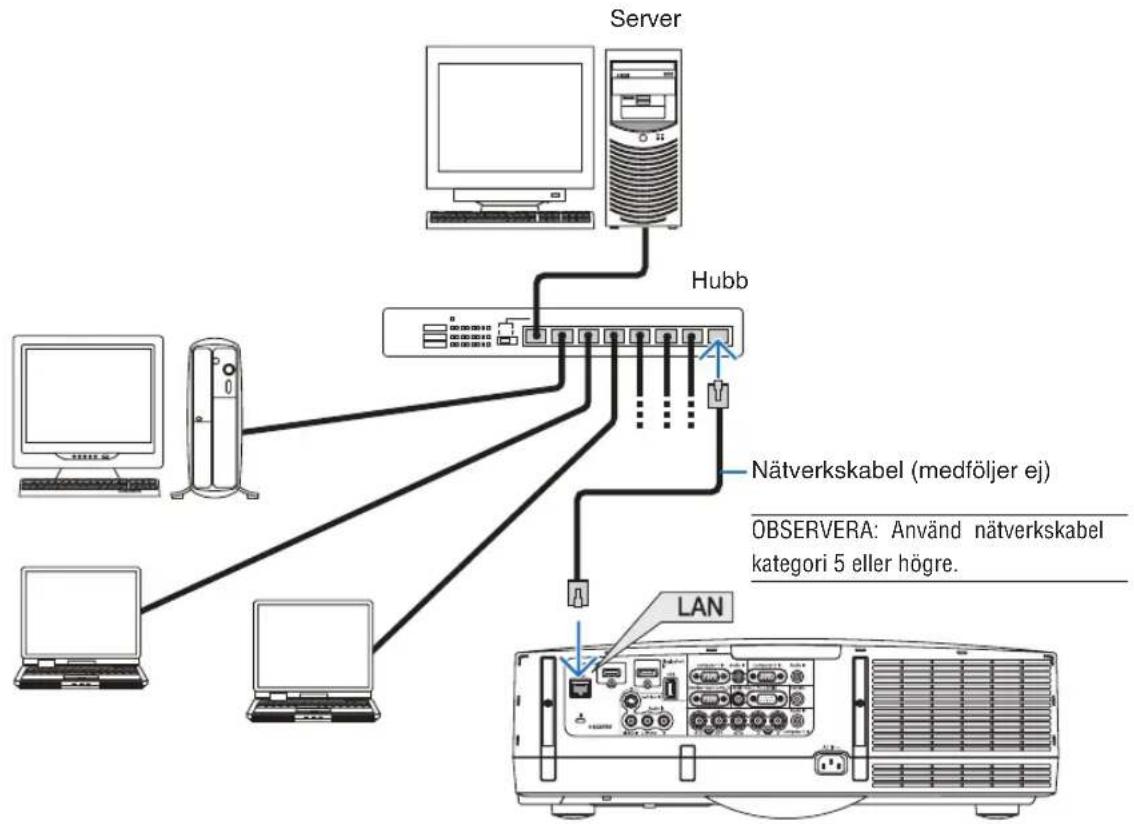 RICOH PJ WX6180N - Exempel på nätverksanslutning - 1