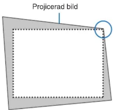 Projicerad bild