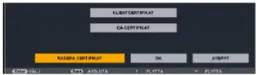 CLIENT CERTIFIKAT CA-CERTIFIKAT RADRA CERTIFIKAT OK ASYRYY? NAME: VALUE CODE: AYSLUTA P: PLYTA F: PLYTA