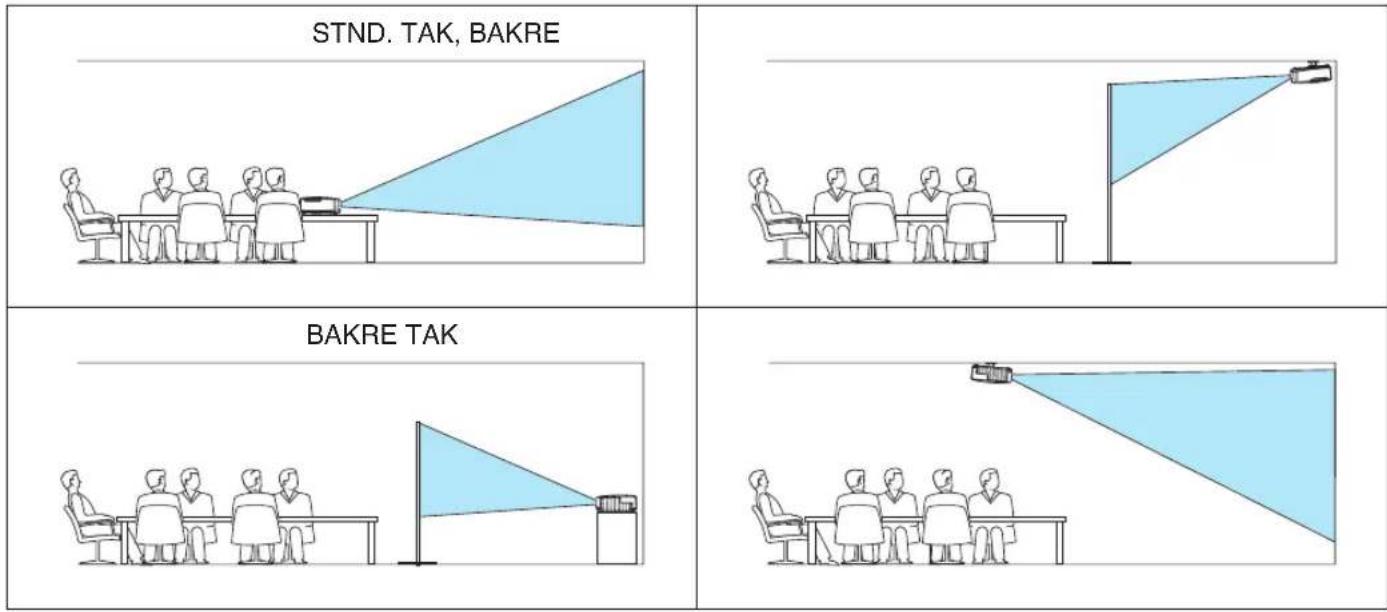 STND. TAK, BAKRE BAKRE TAK