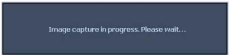 Image capture in progress. Please wait...