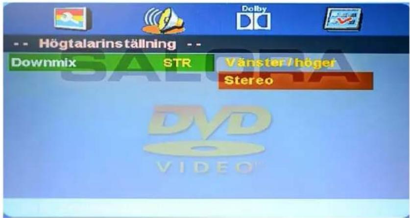 SALORA LED24DVDT - Nermixning - 1