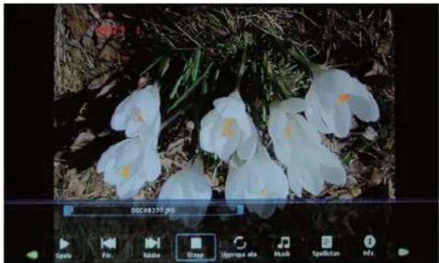 DMTECH LED24XT - Foto - 1