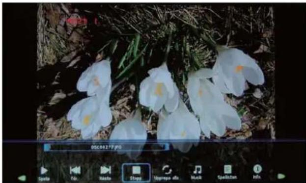 DMTECH 221N - Foto - 1
