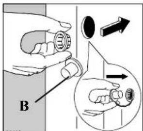 B
