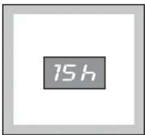 15 h