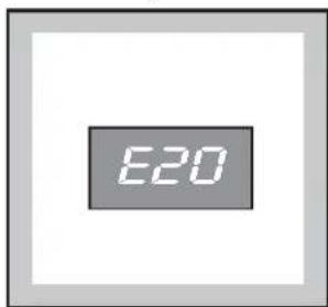E20