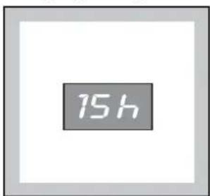 15 h