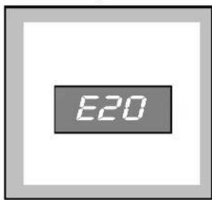 E20