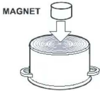 MAGNET