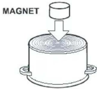 MAGNET