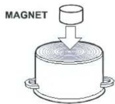 MAGNET