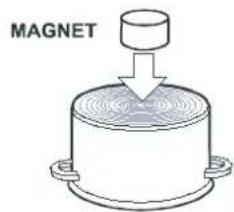 MAGNET
