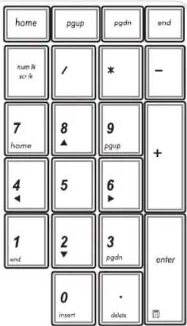 home pgup pgdn end num lk scr lk / * - 7 home 8 ▲ 9 pgup + 4 ◀ 5 6 ► 1 end 2 ▼ 3 pgdn enter 0 insert · delete