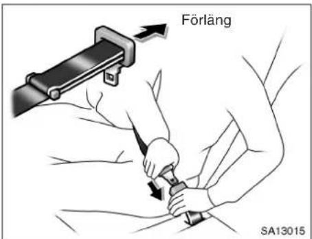Förläng SA13015