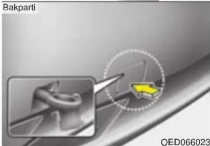 Bakparti OED066023