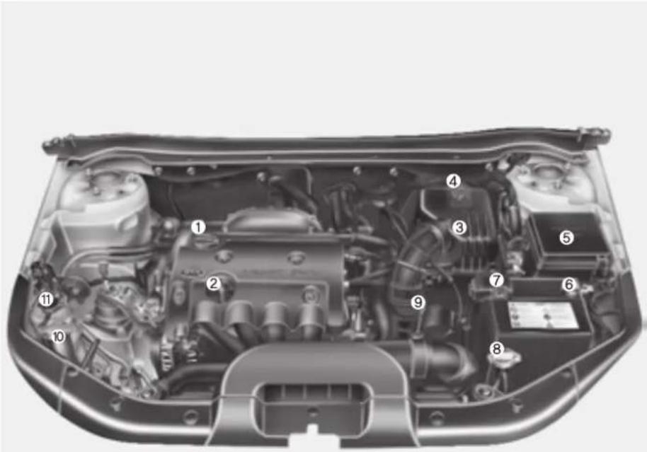 KIA Cee'd (2009) - MOTORRUM - 1