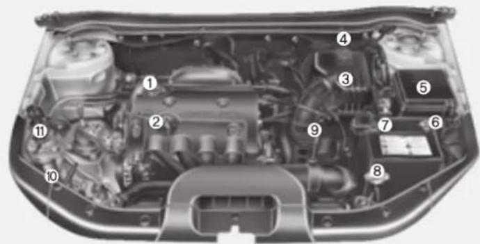 KIA Cee'd (2009) - MOTORRUM - 1