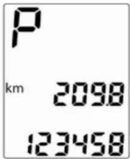 P km 2098 123458