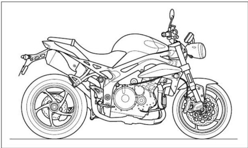 TRIUMPH Speed R Triple - 1