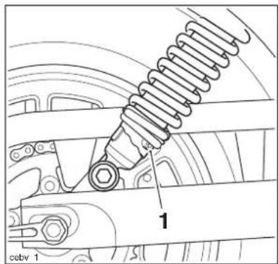 cebv 1 1
