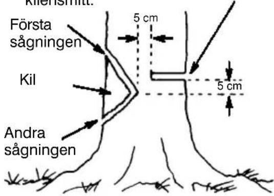 JONSERED CS 2137 - SÄGAKILURHOLKNINGOCHFÄLLATRÄDET - 1