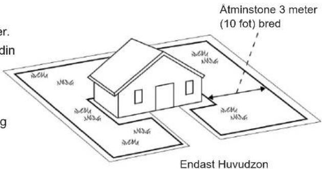 Atminstone 3 meter (10 fot) bred Endast Huvudzon
