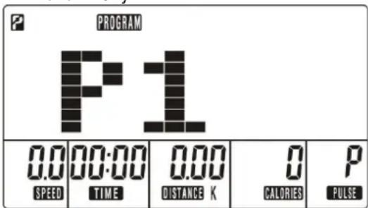 PROGRAM P1 0.0 00:00 0.00 0 P SPEED TIME DISTANCE K CALORIES PULSE
