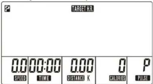 TARGET HR. 0.0 SPEED 00:00 TIME 0.00 DISTANCE K 0 CALORIES P PULSE