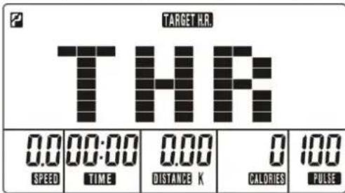 TARGET H.R. THR 0.0 00:00 0.00 0 100 SPEED TIME DISTANCE K CALORIES PULSE