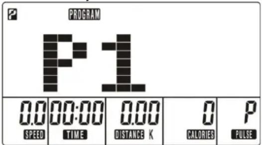 PROGRAM P1 0.0 00:00 0.00 0 P SPEED TIME DISTANCE K CALORIES PULSE