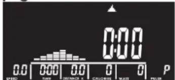0:00 0:00 0.0 TIME DISTANCE X CALORIES WAIT P
