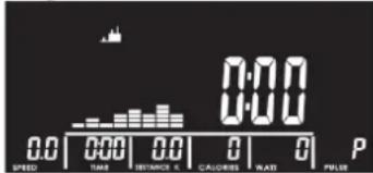 0:00 0.0 0:00 0.0 0 0 P SPEED TIME DISTANCE K CALORIES WATER PULSE