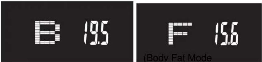 B 19.5 F 15.6 (Body Fat Mode)