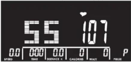 55 107 0.0 | 0.00 | 0.0 | 0 | 0 | P SPEED TIME DISTANCE X CALORIES WAIT PULSE