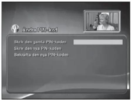 Ändra PIN-kod Skriv den gamla PIN-koden Skriv den nya PIN-koden Bekräfta den nya PIN-koden