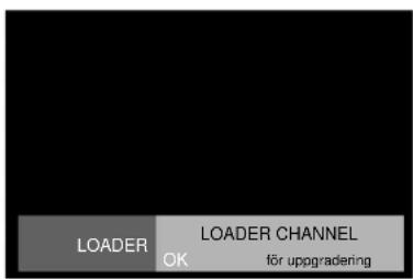 LOADER OK LOADER CHANNEL för upogradering