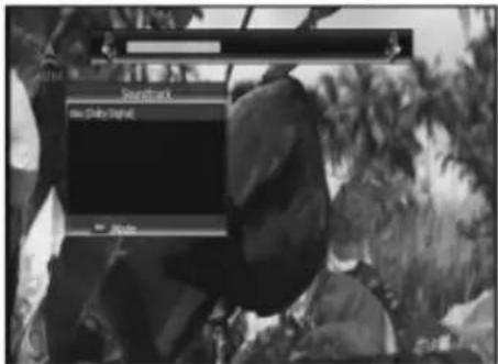 Searchbox Use Daily Signal