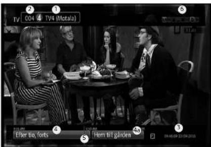 TV 004 4 TV4 (Metala) After bio, forts Fem till garden