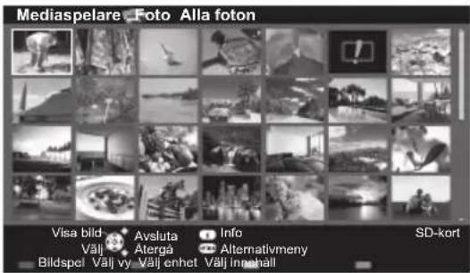 Mediaspelare Foto Alla foton Visa bild Avsluta Info SD-kort Välä Ätergå Alternativmeny Bildspel Välj vy Välj enhet Välj innehäll