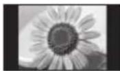 PANASONIC Viera TX-P55VT50Y - Visa inte någon stillbild på skärmen under en längre tidsperiod - 1