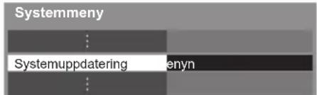 Systemmeny Systemuppdatering enyn