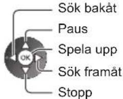 Sök bakåt Paus Spela upp OK Sök framåt Stopp
