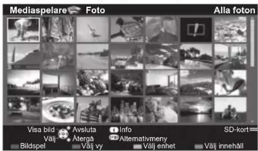 Mediaspelare Foto Alla foton Visa bild Avsluta Info SD-kort Välj Välj Ätergå Altemativmeny Bildspel Välj vvy Välj enhet Välj innehåll
