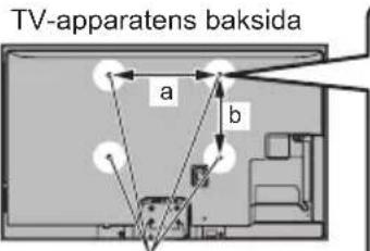 TV-apparatens baksida a b