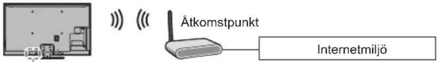 Atkomstpunkt Internetmiljö