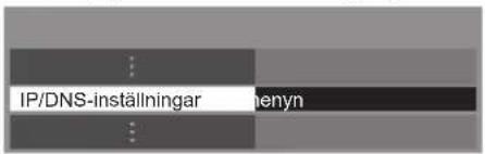 IP/DNS-inställningar Henyn