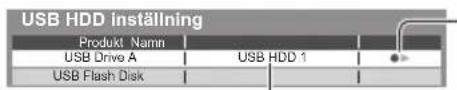 USB HDD inställning Produkt Name USB Drive A USB Flash Disk USB HDD 1