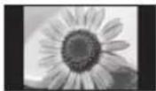 PANASONIC Viera TX-P50G30Y - Visa inte stillbilder under någon längre tid - 1